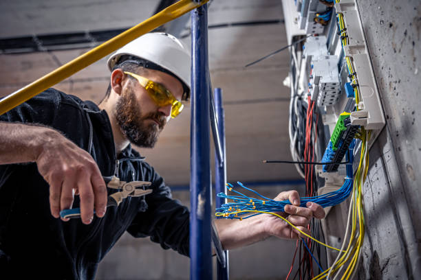 Best Electric Panel Repair  in Long Lake, MN