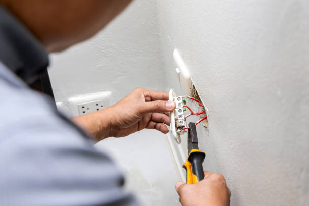 Best Local Electrician Companies  in Long Lake, MN
